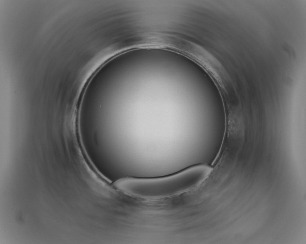 X0000113931484200909251209