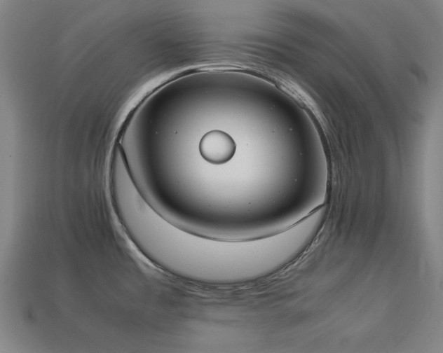 X0000113931485200909251209