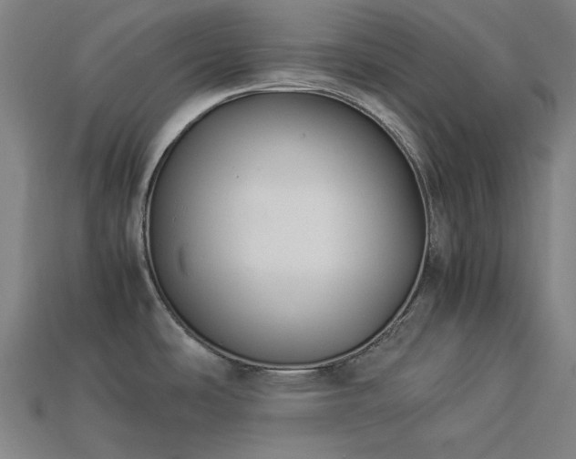 X0000113931486200909251209