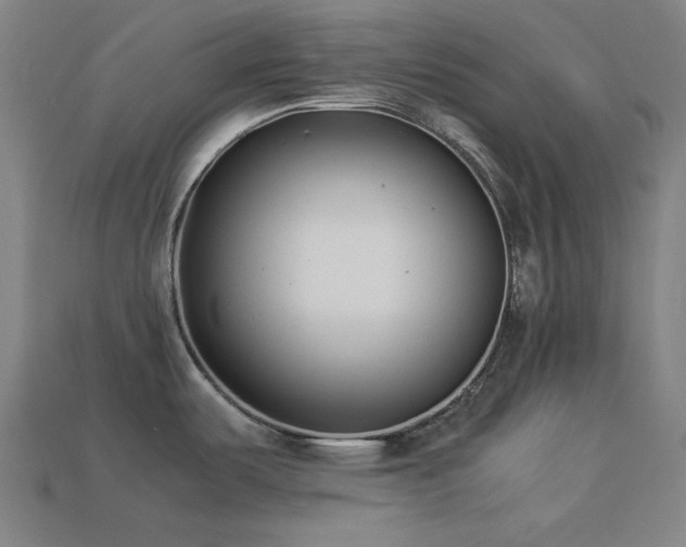 X0000113931487200909251209