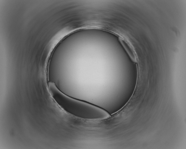 X0000113931488200909251209