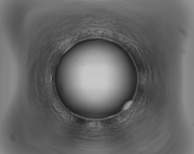 X0000113931489200909251208