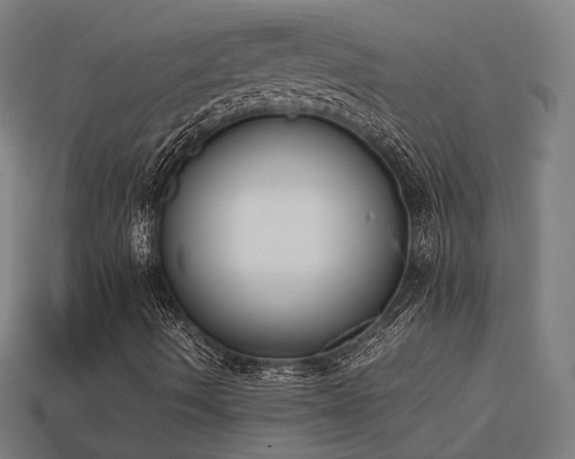 X0000113931490200909251208