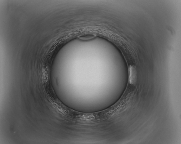 X0000113931491200909251208