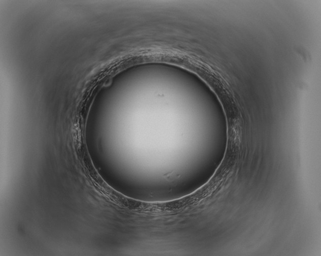 X0000113931493200909251208