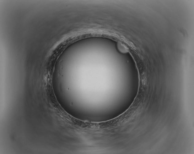 X0000113931495200909251208