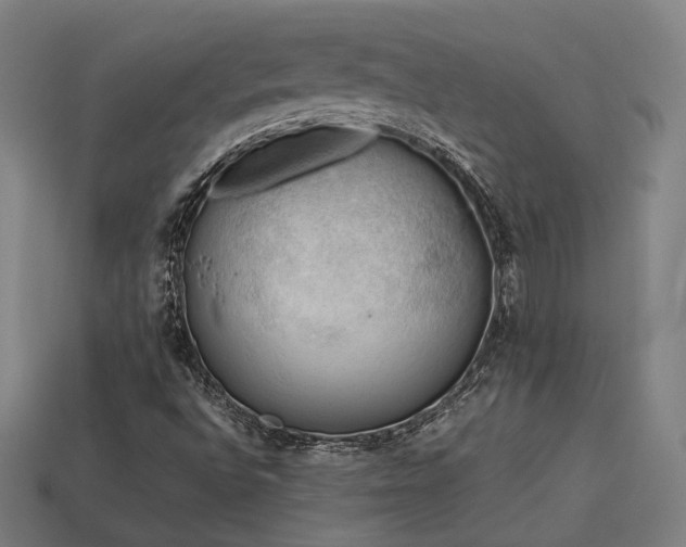 X0000113931496200909251208