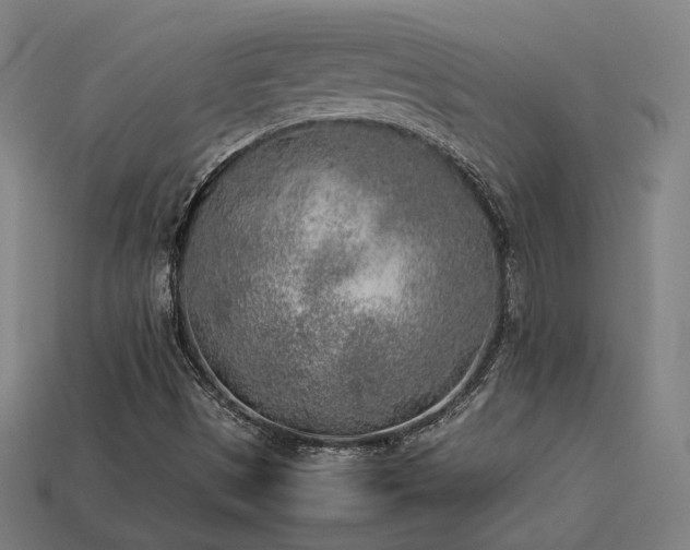 X0000113931497200909251208