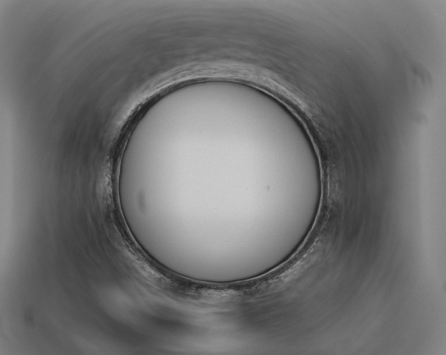 X0000113931498200909251208