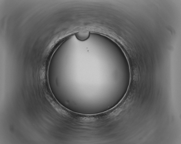 X0000113931499200909251208