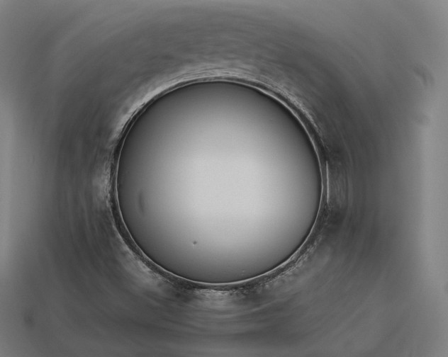X0000113931500200909251208
