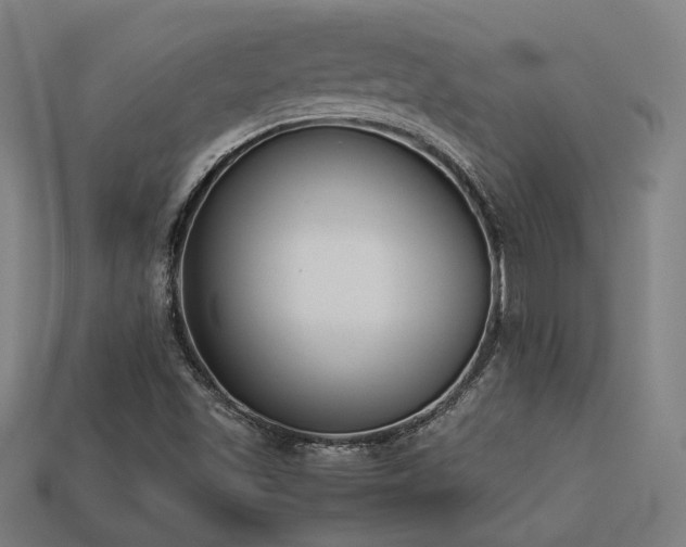 X0000113931501200909251208