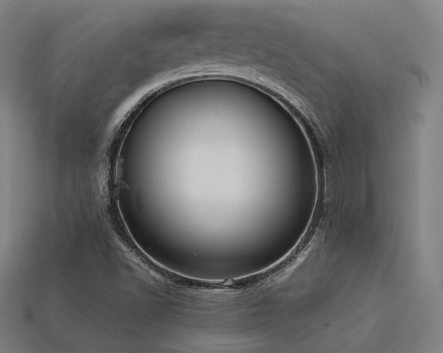 X0000113931502200909251209