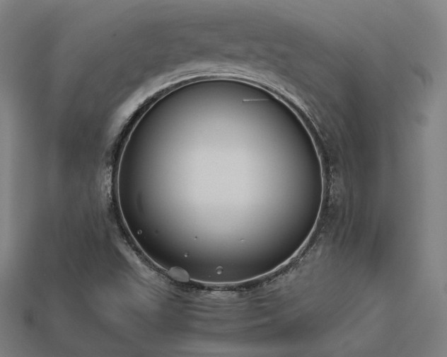 X0000113931503200909251209