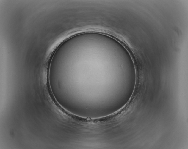 X0000113931504200909251209
