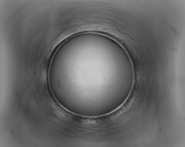 X0000113931505200909251209