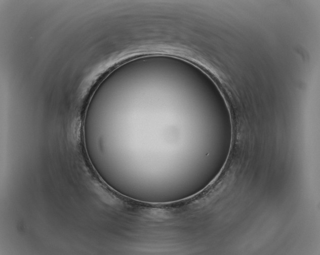 X0000113931507200909251209