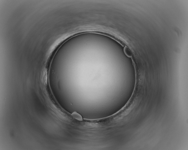 X0000113931509200909251209