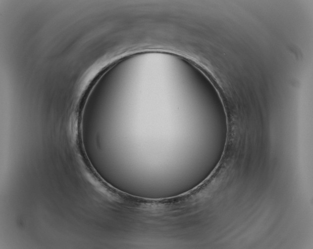 X0000113931511200909251209