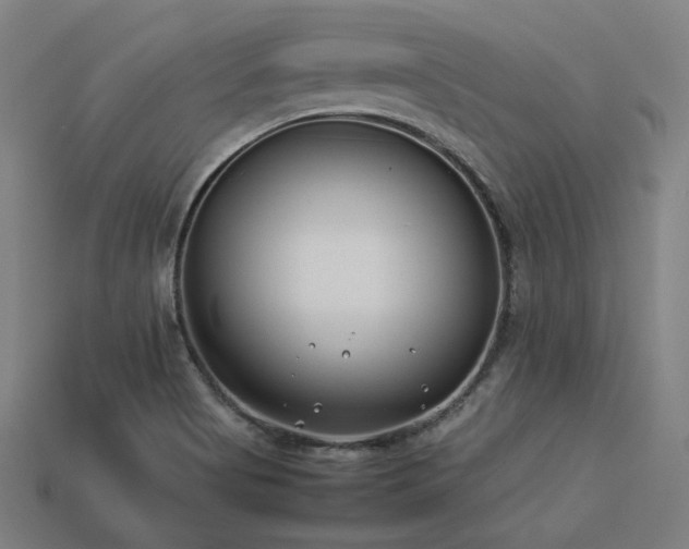 X0000113931513200909251209