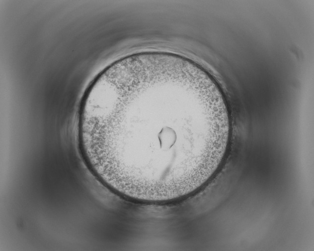 X0000113931514200909251209