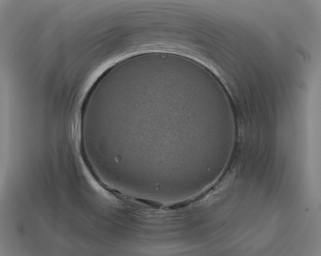 X0000113931515200909251209