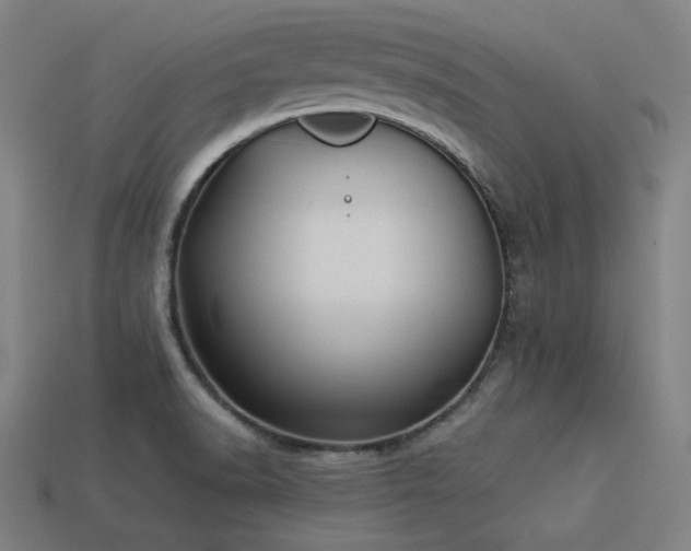 X0000113931518200909251209
