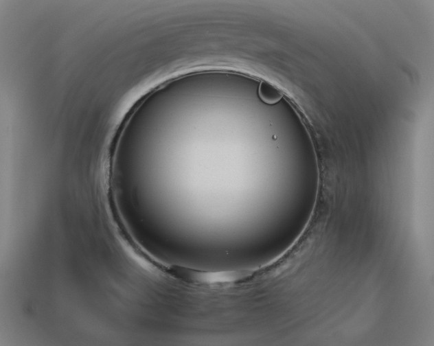 X0000113931519200909251209