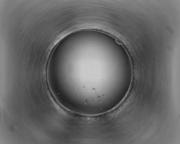 X0000113931521200909251209