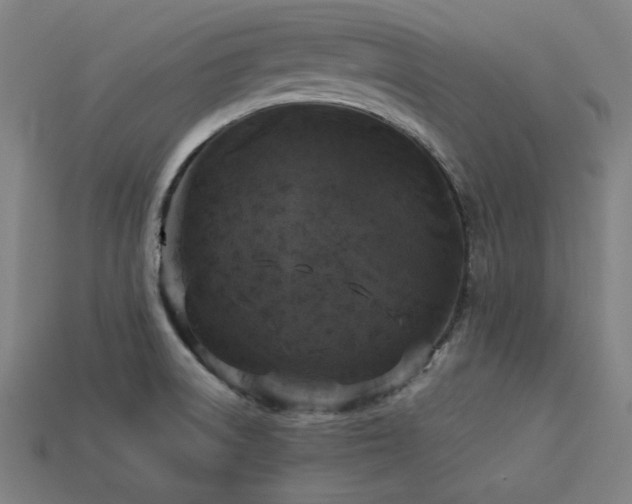 X0000113931522200909251209