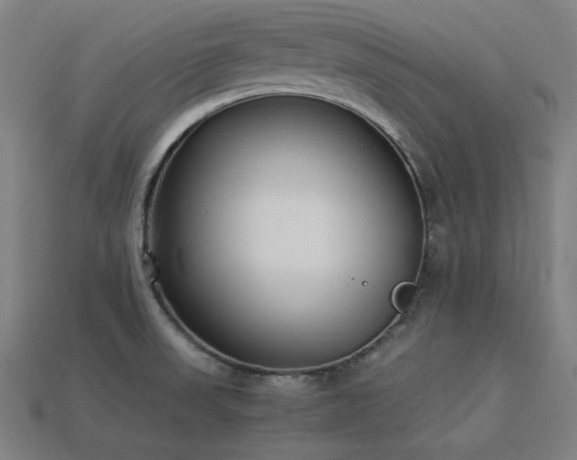 X0000113931523200909251209