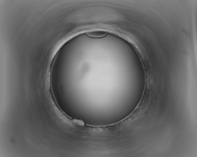 X0000113931524200909251209