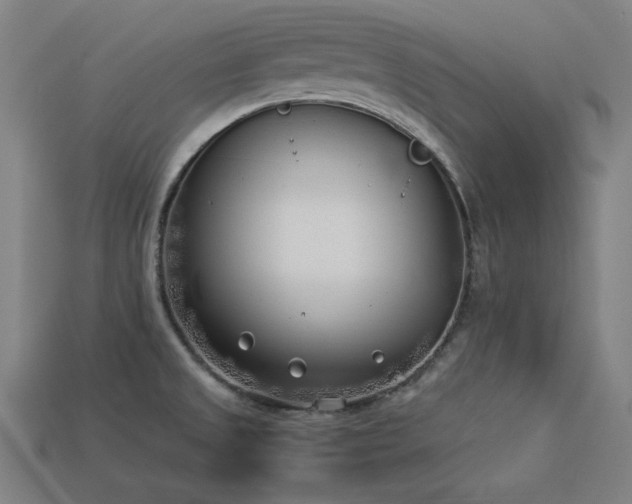 X0000113931525200909251209