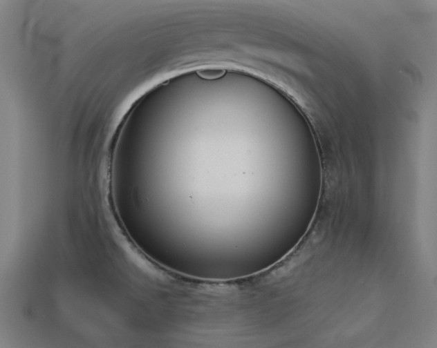 X0000113931526200909251209