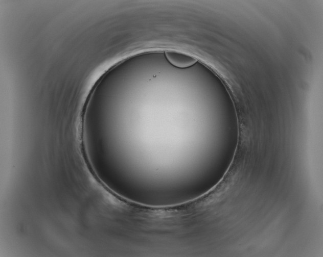X0000113931527200909251209