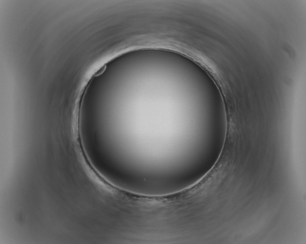 X0000113931528200909251209