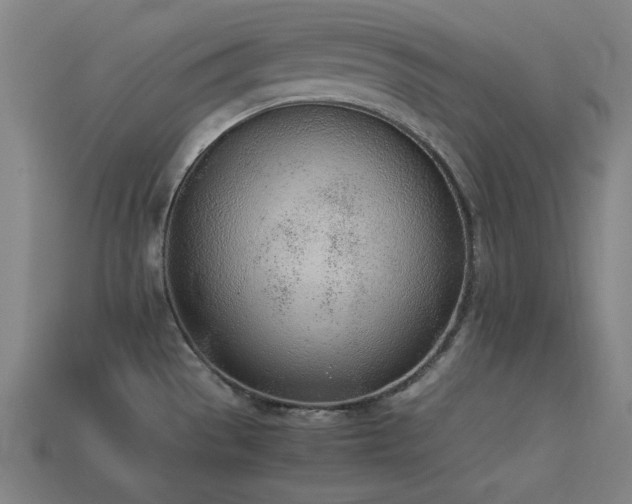 X0000113931529200909251209