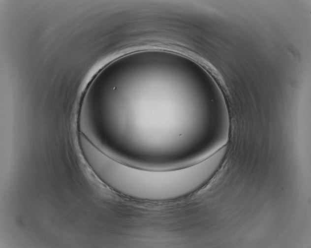 X0000113931530200909251209