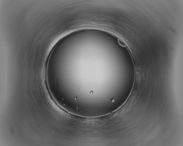 X0000113931531200909251209
