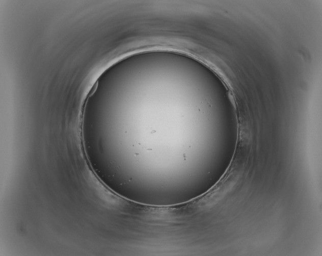 X0000113931532200909251209
