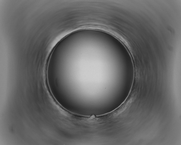 X0000113931533200909251209