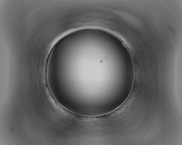 X0000113931534200909251209