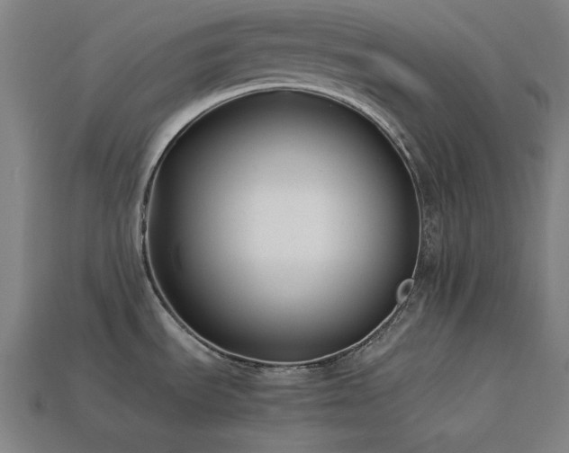 X0000113931535200909251209