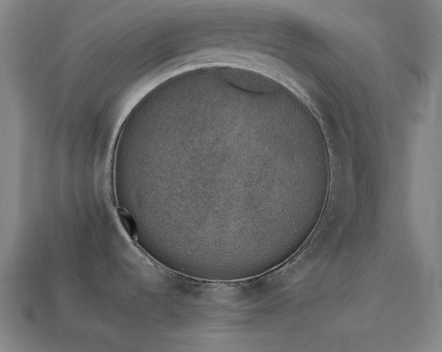 X0000113931536200909251209