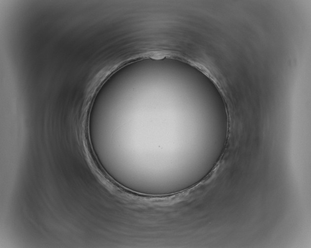 X0000113930001200910021251