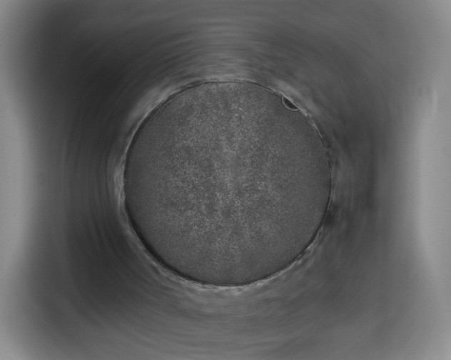 X0000113930002200910021251