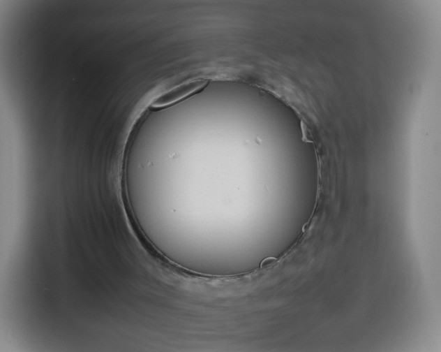 X0000113930003200910021251