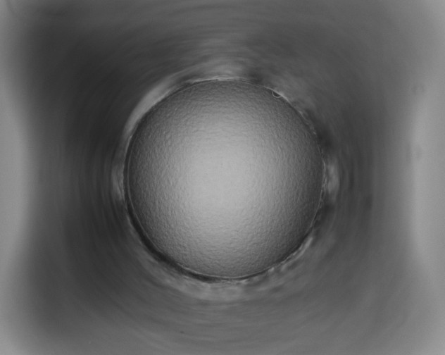 X0000113930004200910021251