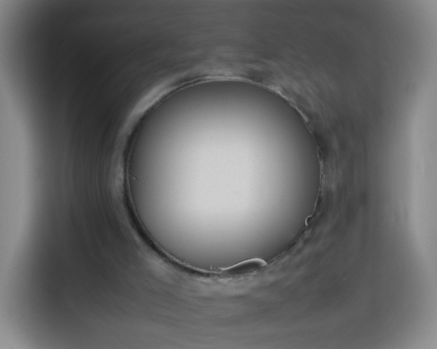 X0000113930005200910021251