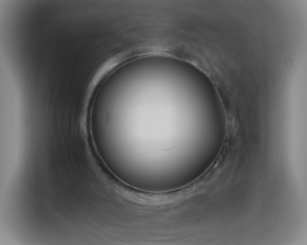 X0000113930006200910021251